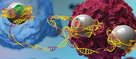 Above the Genome Editing: The Rise of Epigenome Editing